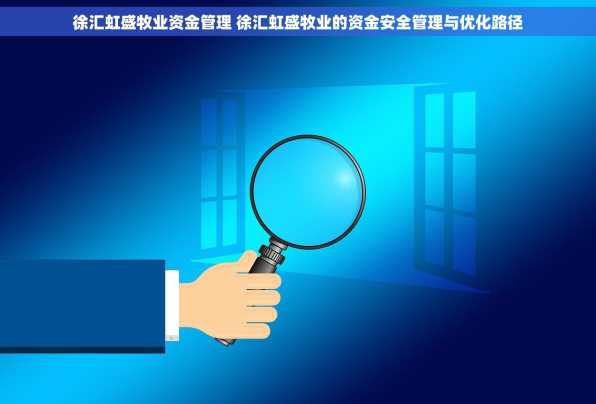 徐汇虹盛牧业资金管理 徐汇虹盛牧业的资金安全管理与优化路径