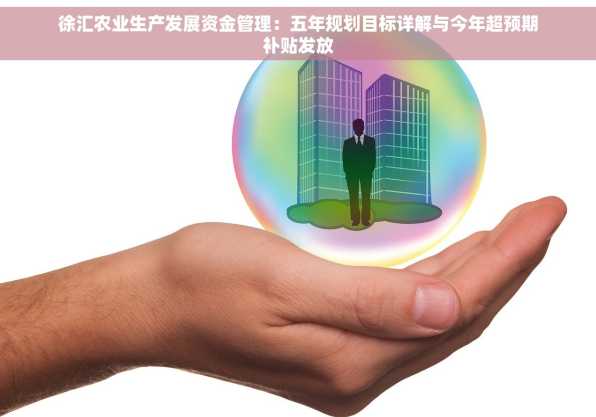 徐汇农业生产发展资金管理：五年规划目标详解与今年超预期补贴发放