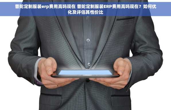 普陀定制服装erp费用高吗现在 普陀定制服装ERP费用高吗现在？如何优化及评估其性价比