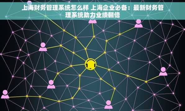 上海财务管理系统怎么样 上海企业必备：最新财务管理系统助力业绩翻倍
