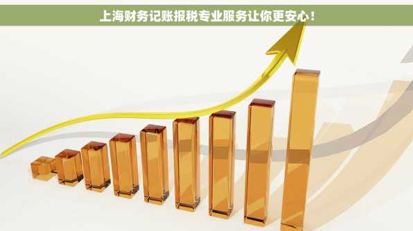 上海财务记账报税专业服务让你更安心！