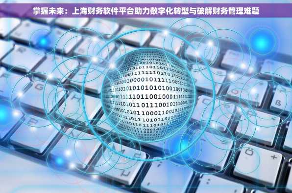掌握未来：上海财务软件平台助力数字化转型与破解财务管理难题