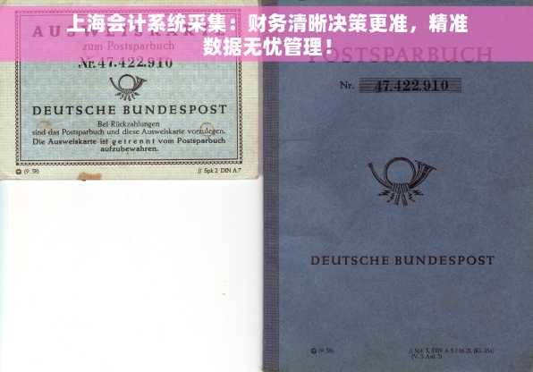 上海会计系统采集：财务清晰决策更准，精准数据无忧管理！