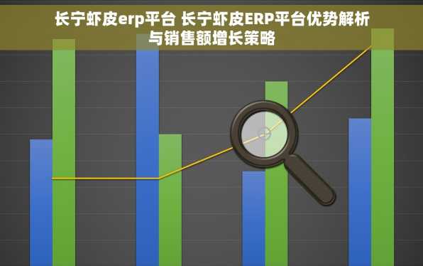 长宁虾皮erp平台 长宁虾皮ERP平台优势解析与销售额增长策略
