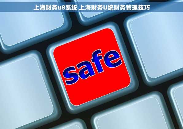 上海财务u8系统 上海财务U统财务管理技巧