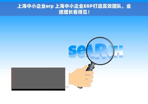 上海中小企业erp 上海中小企业ERP打造高效团队，业绩增长看得见！