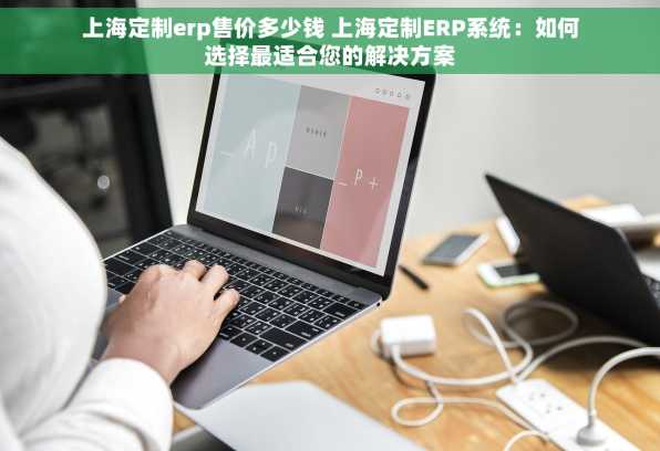 上海定制erp售价多少钱 上海定制ERP系统：如何选择最适合您的解决方案