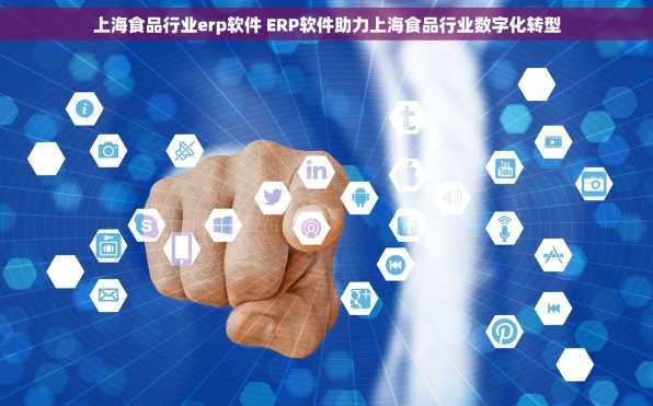 上海食品行业erp软件 ERP软件助力上海食品行业数字化转型