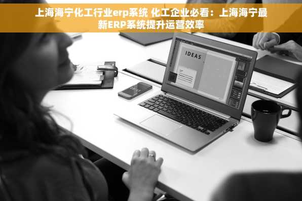 上海海宁化工行业erp系统 化工企业必看：上海海宁最新ERP系统提升运营效率