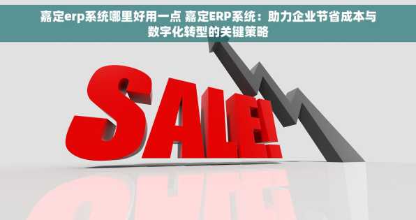 嘉定erp系统哪里好用一点 嘉定ERP系统：助力企业节省成本与数字化转型的关键策略