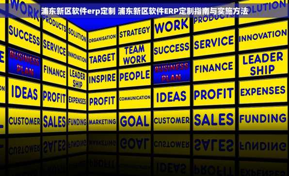 浦东新区软件erp定制 浦东新区软件ERP定制指南与实施方法