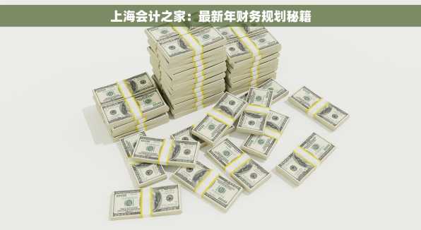 上海会计之家：最新年财务规划秘籍