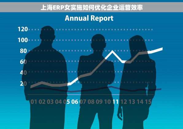 上海ERP女实施如何优化企业运营效率