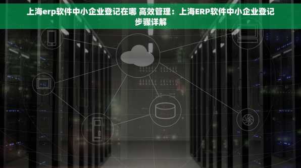 上海erp软件中小企业登记在哪 高效管理：上海ERP软件中小企业登记步骤详解