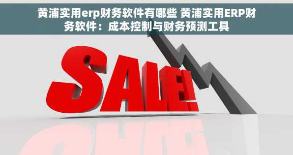 黄浦实用erp财务软件有哪些 黄浦实用ERP财务软件：成本控制与财务预测工具