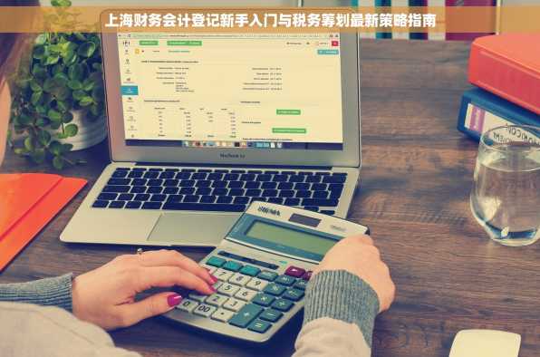 上海财务会计登记新手入门与税务筹划最新策略指南