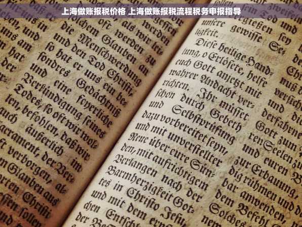 上海做账报税价格 上海做账报税流程税务申报指导