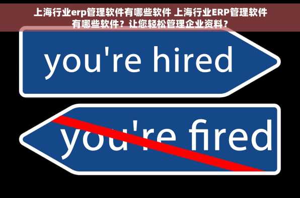 上海行业erp管理软件有哪些软件 上海行业ERP管理软件有哪些软件？让您轻松管理企业资料？