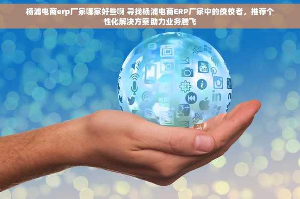 杨浦电商erp厂家哪家好些啊 寻找杨浦电商ERP厂家中的佼佼者，推荐个性化解决方案助力业务腾飞