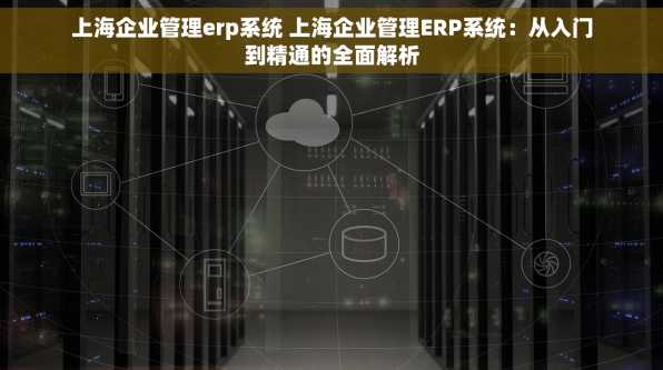 上海企业管理erp系统 上海企业管理ERP系统：从入门到精通的全面解析