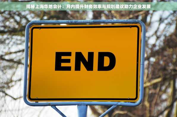 揭秘上海华地会计：月内提升财务效率与规划建议助力企业发展