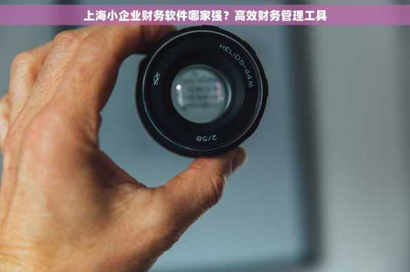 上海小企业财务软件哪家强？高效财务管理工具