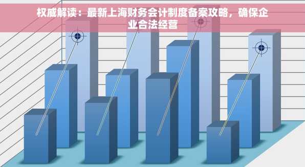 权威解读：最新上海财务会计制度备案攻略，确保企业合法经营