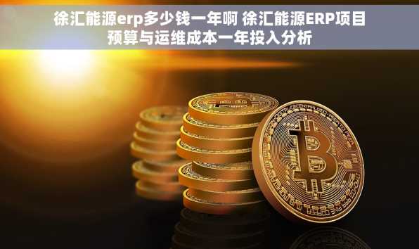 徐汇能源erp多少钱一年啊 徐汇能源ERP项目预算与运维成本一年投入分析