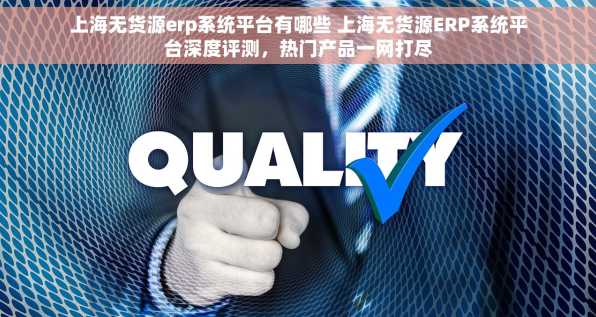 上海无货源erp系统平台有哪些 上海无货源ERP系统平台深度评测，热门产品一网打尽