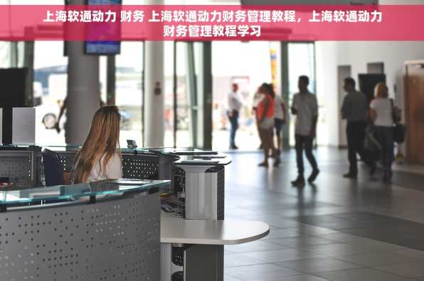 上海软通动力 财务 上海软通动力财务管理教程，上海软通动力财务管理教程学习