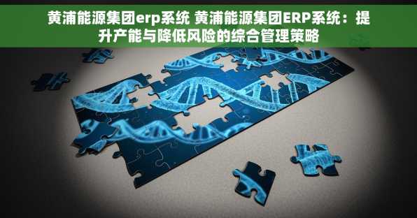 黄浦能源集团erp系统 黄浦能源集团ERP系统：提升产能与降低风险的综合管理策略