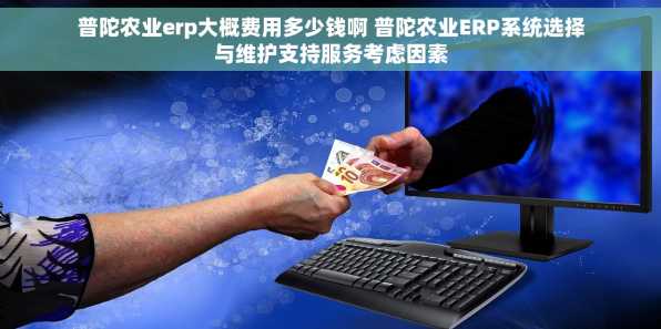 普陀农业erp大概费用多少钱啊 普陀农业ERP系统选择与维护支持服务考虑因素