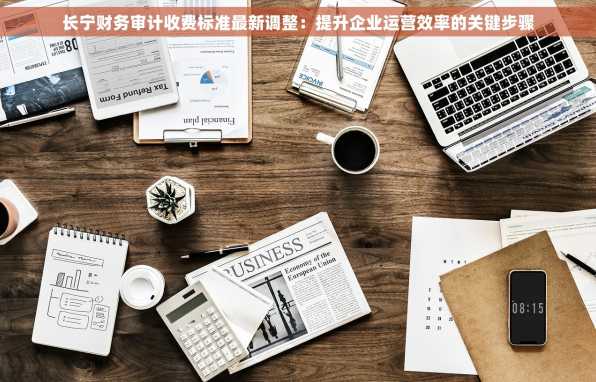 长宁财务审计收费标准最新调整：提升企业运营效率的关键步骤