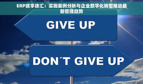 ERP珑享徐汇：实施案例分析与企业数字化转型推动最新管理趋势
