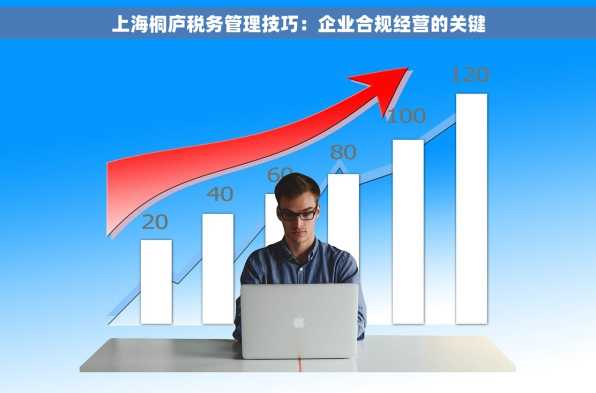 上海桐庐税务管理技巧：企业合规经营的关键