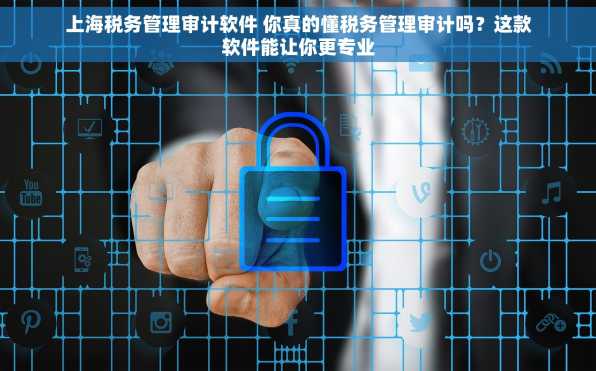上海税务管理审计软件 你真的懂税务管理审计吗？这款软件能让你更专业