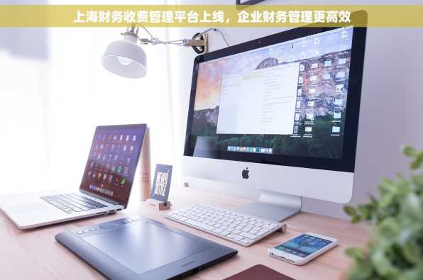 上海财务收费管理平台上线，企业财务管理更高效