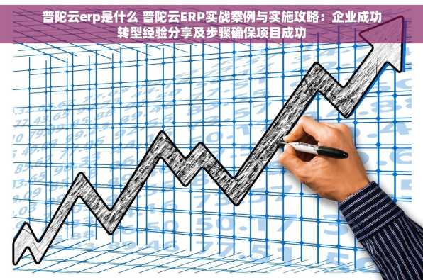 普陀云erp是什么 普陀云ERP实战案例与实施攻略：企业成功转型经验分享及步骤确保项目成功