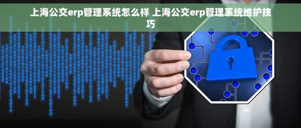 上海公交erp管理系统怎么样 上海公交erp管理系统维护技巧