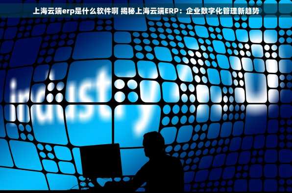 上海云端erp是什么软件啊 揭秘上海云端ERP：企业数字化管理新趋势
