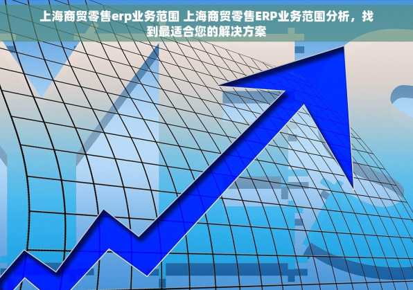上海商贸零售erp业务范围 上海商贸零售ERP业务范围分析，找到最适合您的解决方案