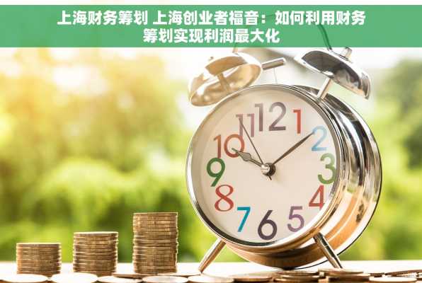 上海财务筹划 上海创业者福音：如何利用财务筹划实现利润最大化