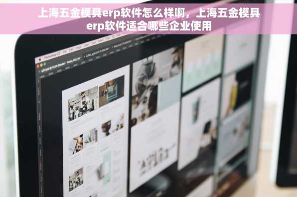 上海五金模具erp软件怎么样啊，上海五金模具erp软件适合哪些企业使用