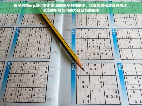 长宁科技erp单价多少钱 掌握长宁科技ERP，企业信息化建设只需这，深度解析其如何助力企业节约成本