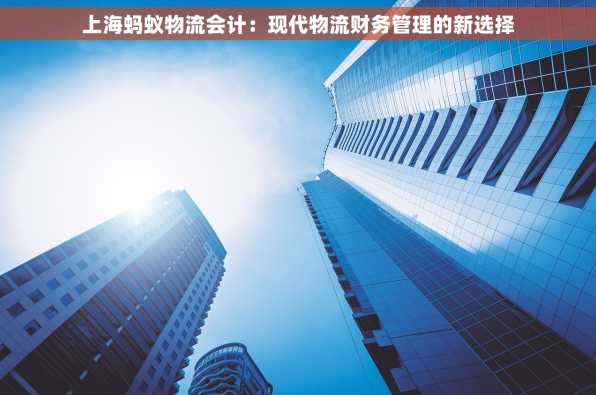 上海蚂蚁物流会计：现代物流财务管理的新选择