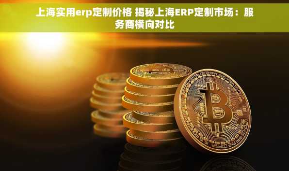 上海实用erp定制价格 揭秘上海ERP定制市场：服务商横向对比
