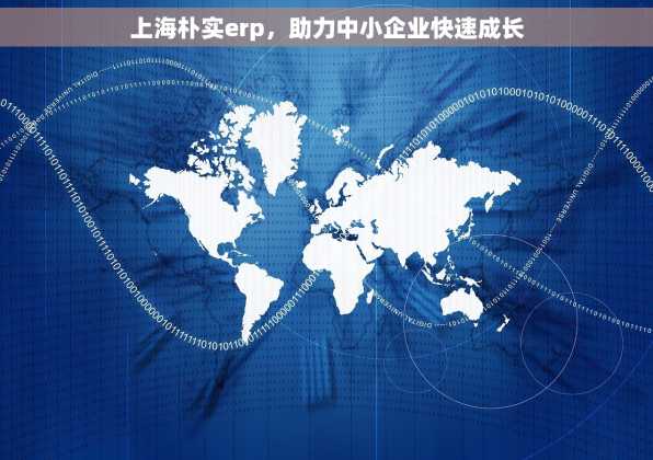 上海朴实erp，助力中小企业快速成长