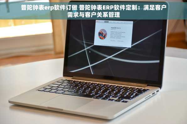 普陀钟表erp软件订做 普陀钟表ERP软件定制：满足客户需求与客户关系管理
