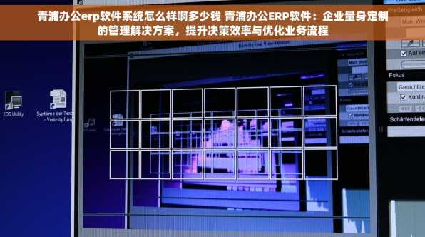 青浦办公erp软件系统怎么样啊多少钱 青浦办公ERP软件：企业量身定制的管理解决方案，提升决策效率与优化业务流程