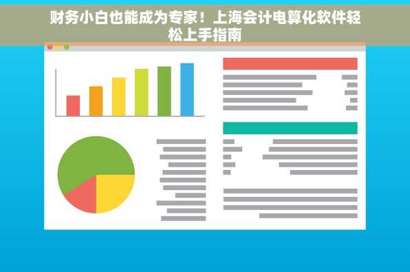 财务小白也能成为专家！上海会计电算化软件轻松上手指南